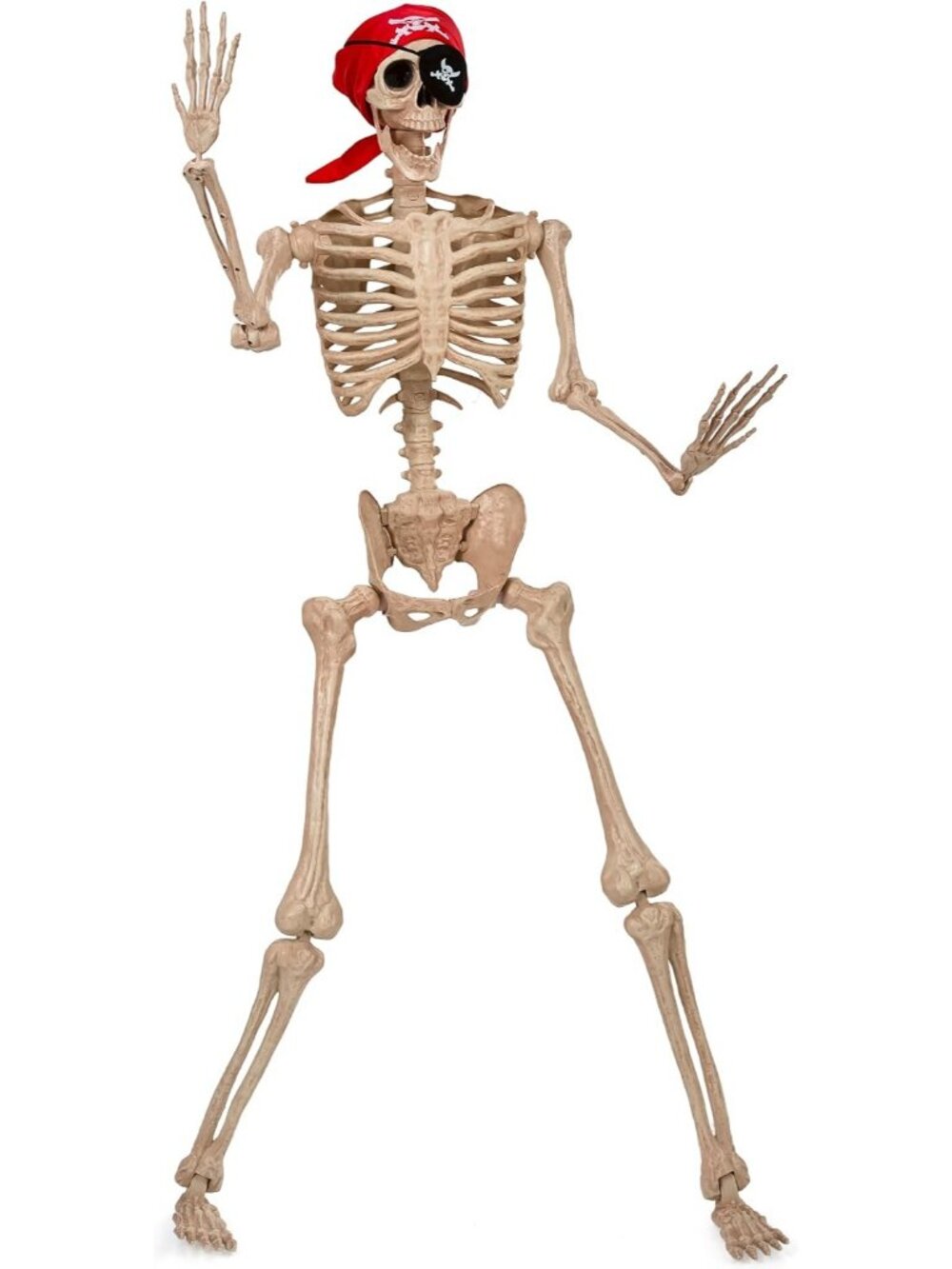 Pirate Skeleton 5ft Halloween Decorations Posable Life Size Haunted House Décor